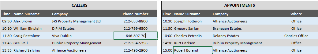 Assistant-Checklist-Excel-Template-S01