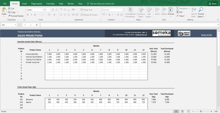 Trade Business Model - Feasibility Study Template in Excel - Template Screenshot Image 4 - Someka