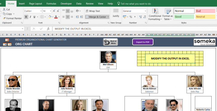 Automatic Org Chart Generator – Premium Version - Someka SS11