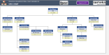Automatic Org Chart Generator – Premium Version - Someka SS14