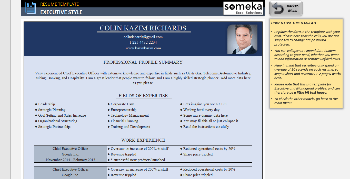 ms excel resume format