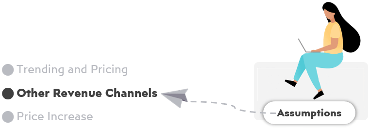 Hotel-Financial-Assumptions-Revenue-Channels-S13