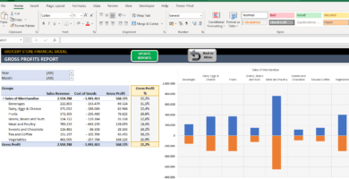 Grocery-Store-Financial-Model-Excel-Template-Someka-SS5