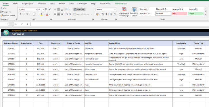 Internal-Audit-Excel-Template-Someka-SS3