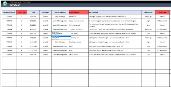 Internal-Audit-Excel-Template-Someka-SS8