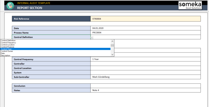 Internal-Audit-Excel-Template-Someka-SS9