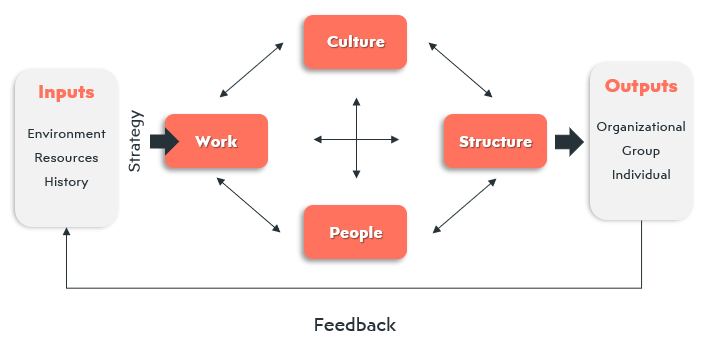 nadler-tushman-model-example