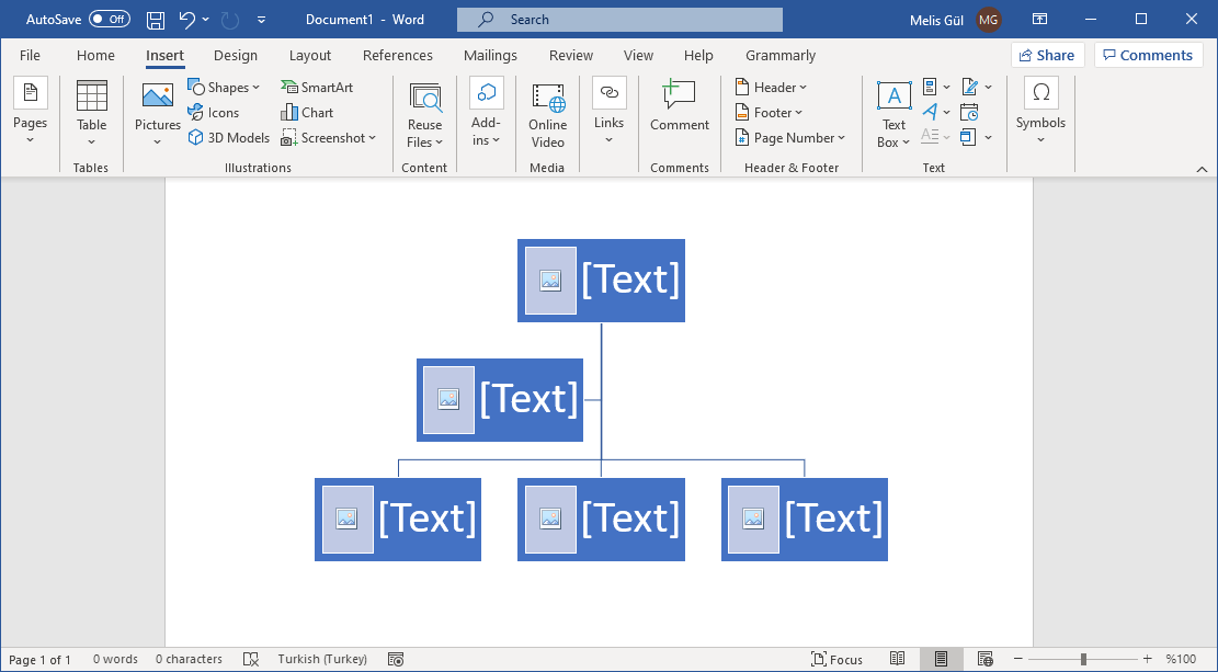 create-family-chart-in-microsoft-word
