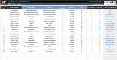 9-Box-Grid-Talent-Management-Excel-Template-SS2