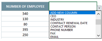 Customer-Database-Template-Excel-Someka-S08