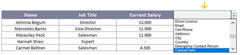 HR Reporting - Dynamic Information Sheets