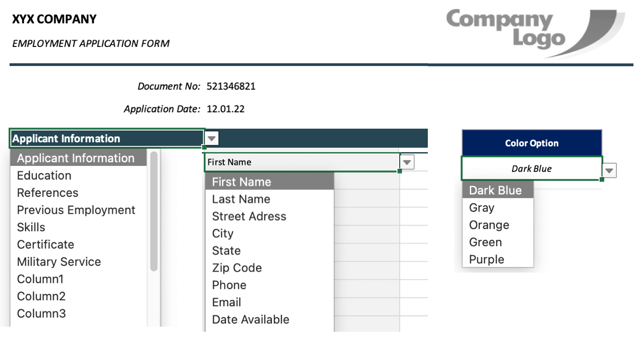 candidate information forms