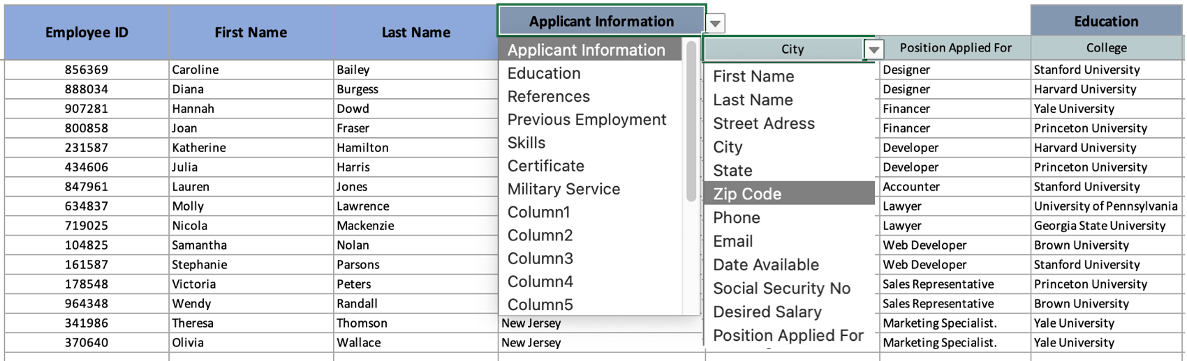 recruitment database template