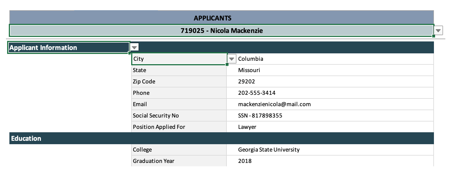 Hiring Candidate Summary