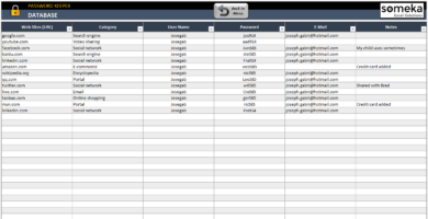 Password-Keeper-Someka-Excel-SS2-U