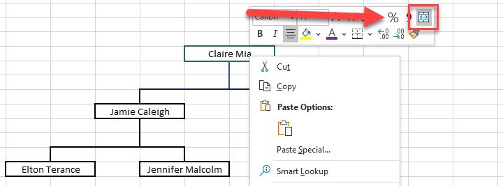 Org-Chart-Cell-Formatting