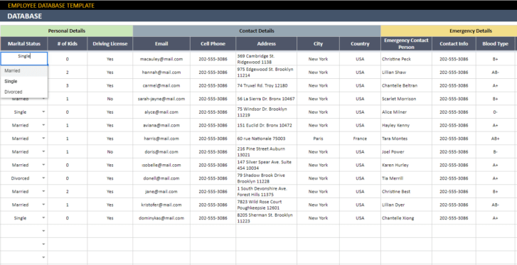 Employee-Database-Someka-Google-Sheets-Template-SS8