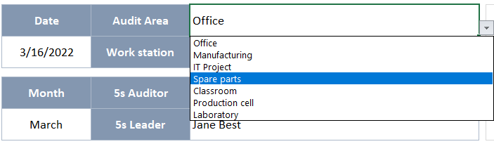 choosing Audit Area