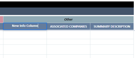 other input data type