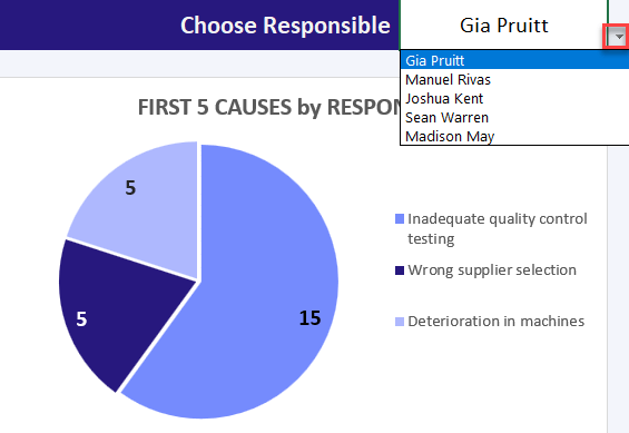 Chooses the responsible person for this 20/80 law pie chart