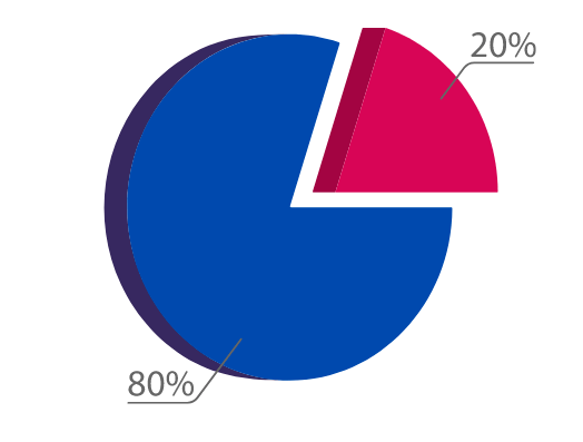 20/80 rule of pareto chart