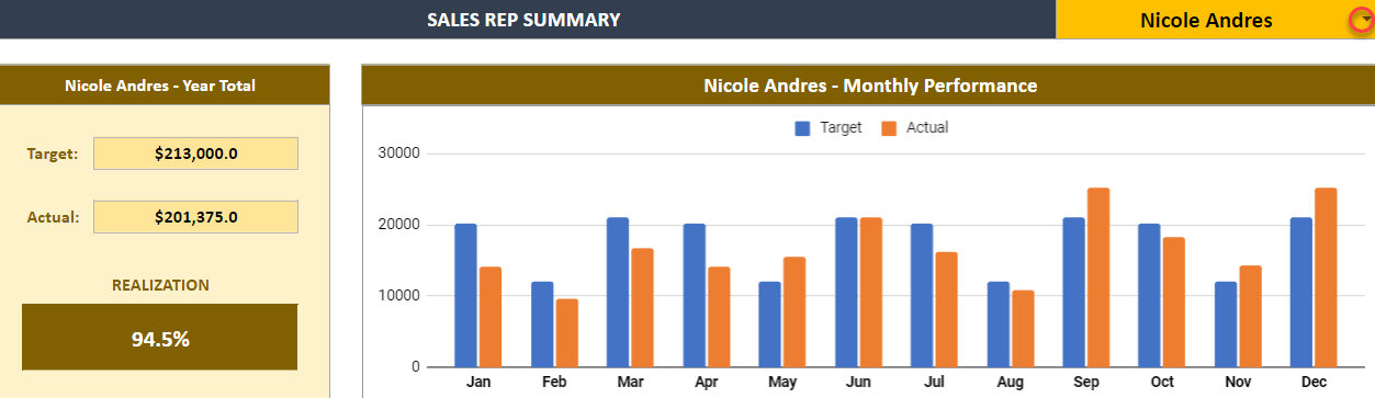 Sales Rep Summary in Dashboard section of Sales Plan Template