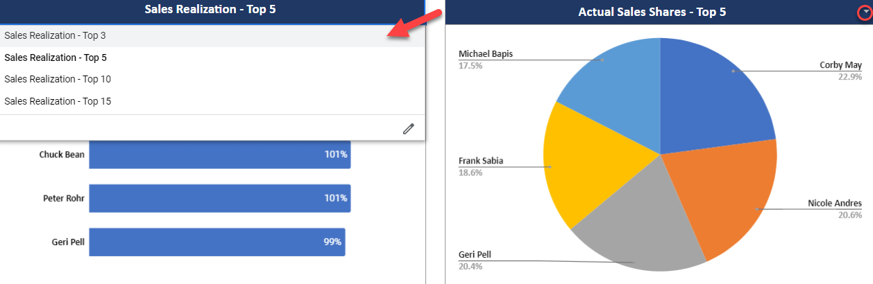 Actual Sales Shares in Pie Charts and Graphs