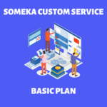 Custom Services Basic Plan