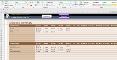 Bi-Weekly-Budget-Someka-Excel-Template-SS2