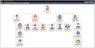 Functional-Organizational-Structure-Someka-Example-SS1