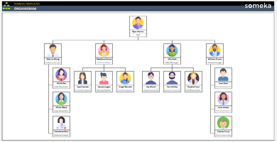 Organigram-Someka-Example-SS1