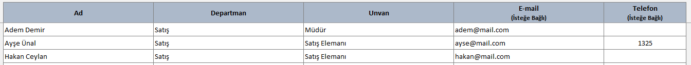 şirket çalışanı veri tabanı