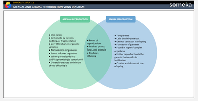 Asexual-and-Sexual-Reproduction Venn Diagram Someka Example Cover