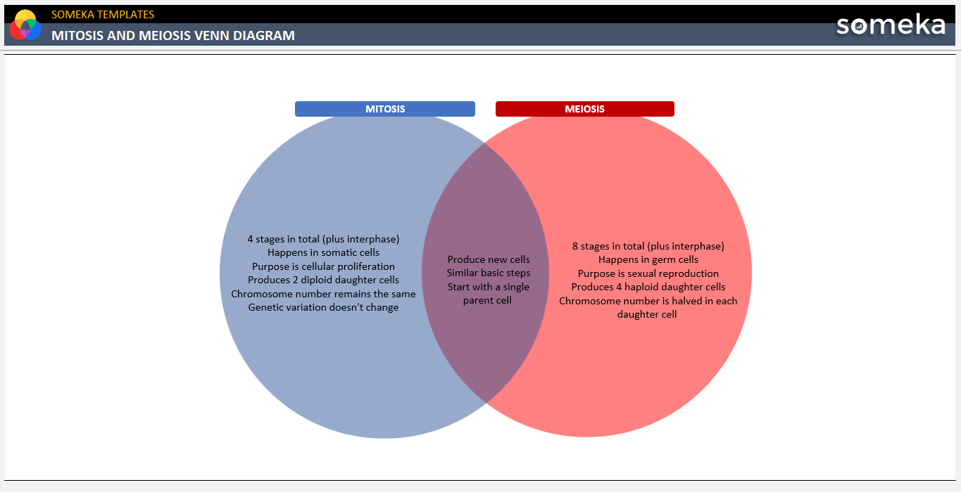 Mitosis and Meiosis Venn Diagram Someka Example Cover