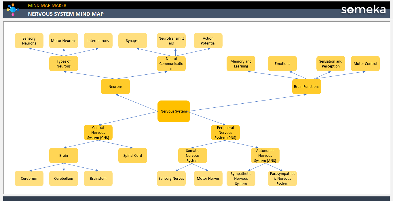 Nervous System Mind Map Someka Example Cover