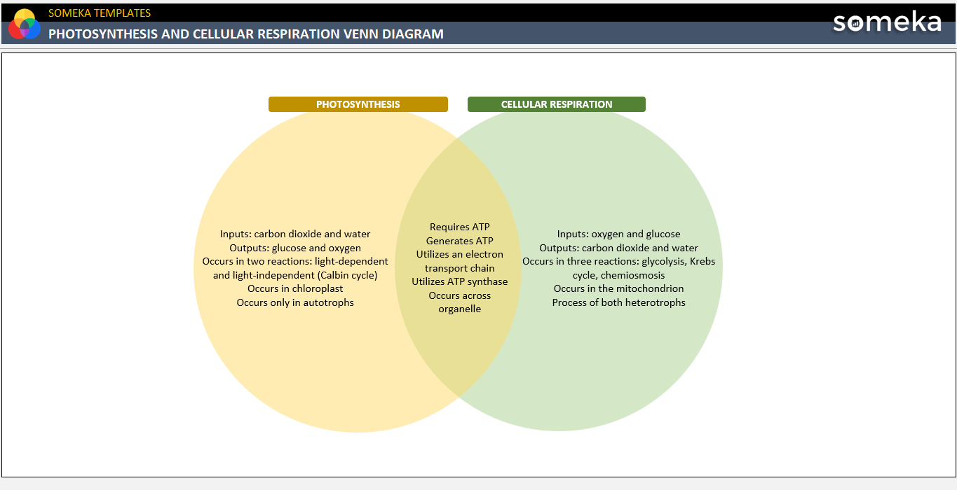 photosynthesis-and-cellular-respiration-venn-diagram-free-temp