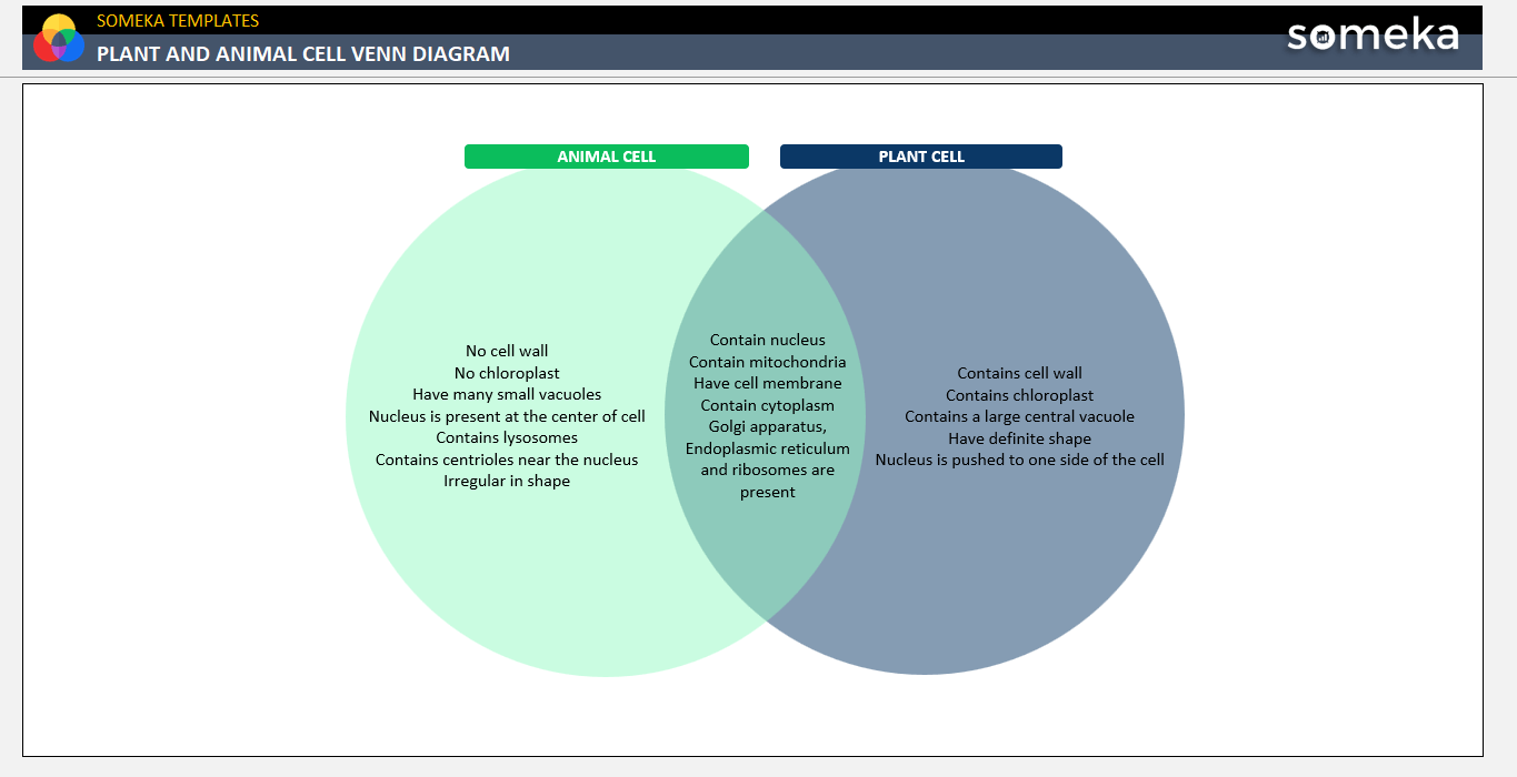 Plant and Animal Cell Venn Diagram Someka Example Cover