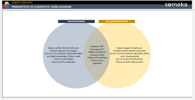 Prokaryotic-vs-Eukaryotic-Venn-Diagram-Someka-Example-SS1-u