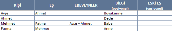 Excel'de aile şeceresi nasıl çıkarılır