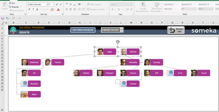 Soy-Agaci-Someka-Excel-Sablonu-SS6