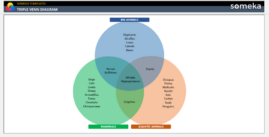 Triple Venn Diagram Someka Example Cover