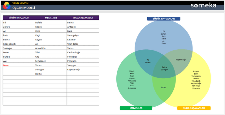 Venn-Semasi-Someka-Excel-Sablonu-SS4