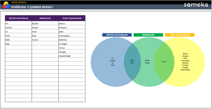 Venn-Semasi-Someka-Excel-Sablonu-SS5