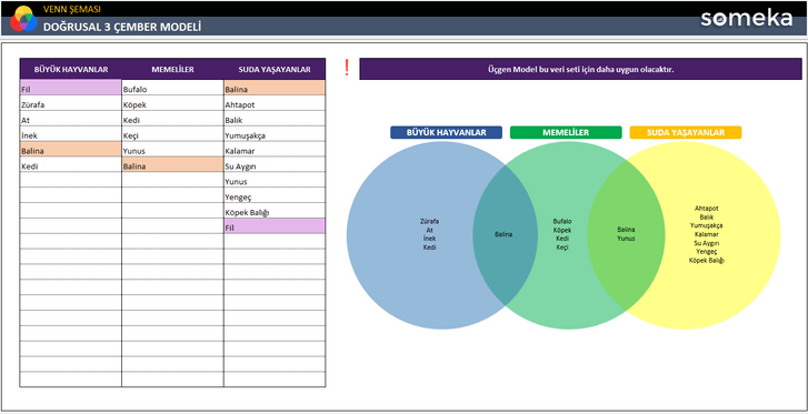 Venn-Semasi-Someka-Excel-Sablonu-SS6