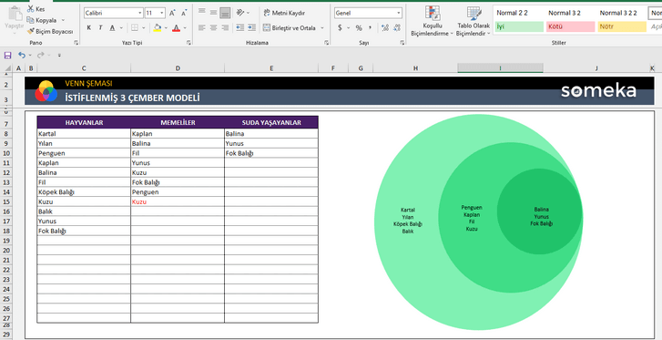 Venn-Semasi-Someka-Excel-Sablonu-SS7