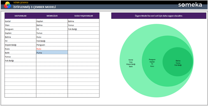 Venn-Semasi-Someka-Excel-Sablonu-SS8